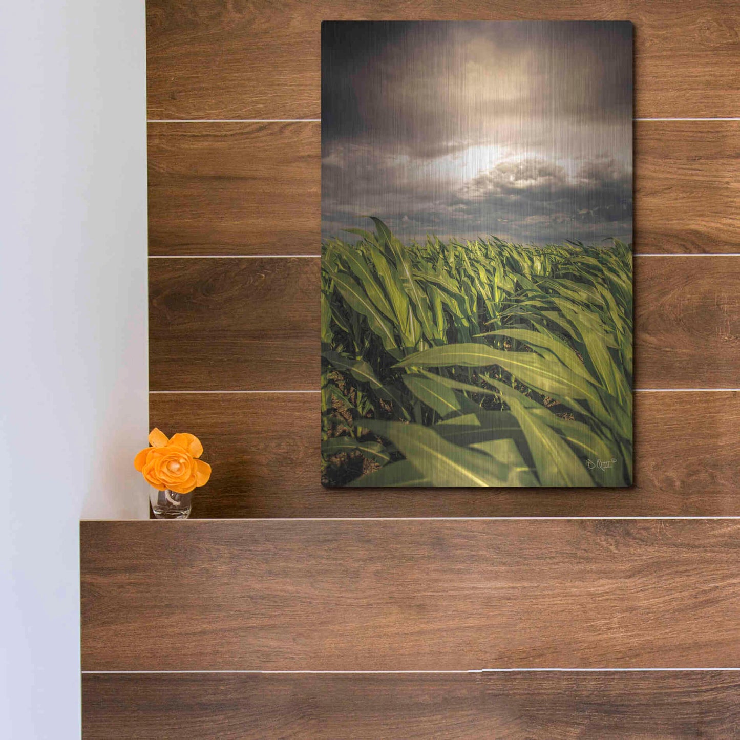 Luxe Metal Art 'Field of Corn' by Donnie Quillen Metal Wall Art,12x16