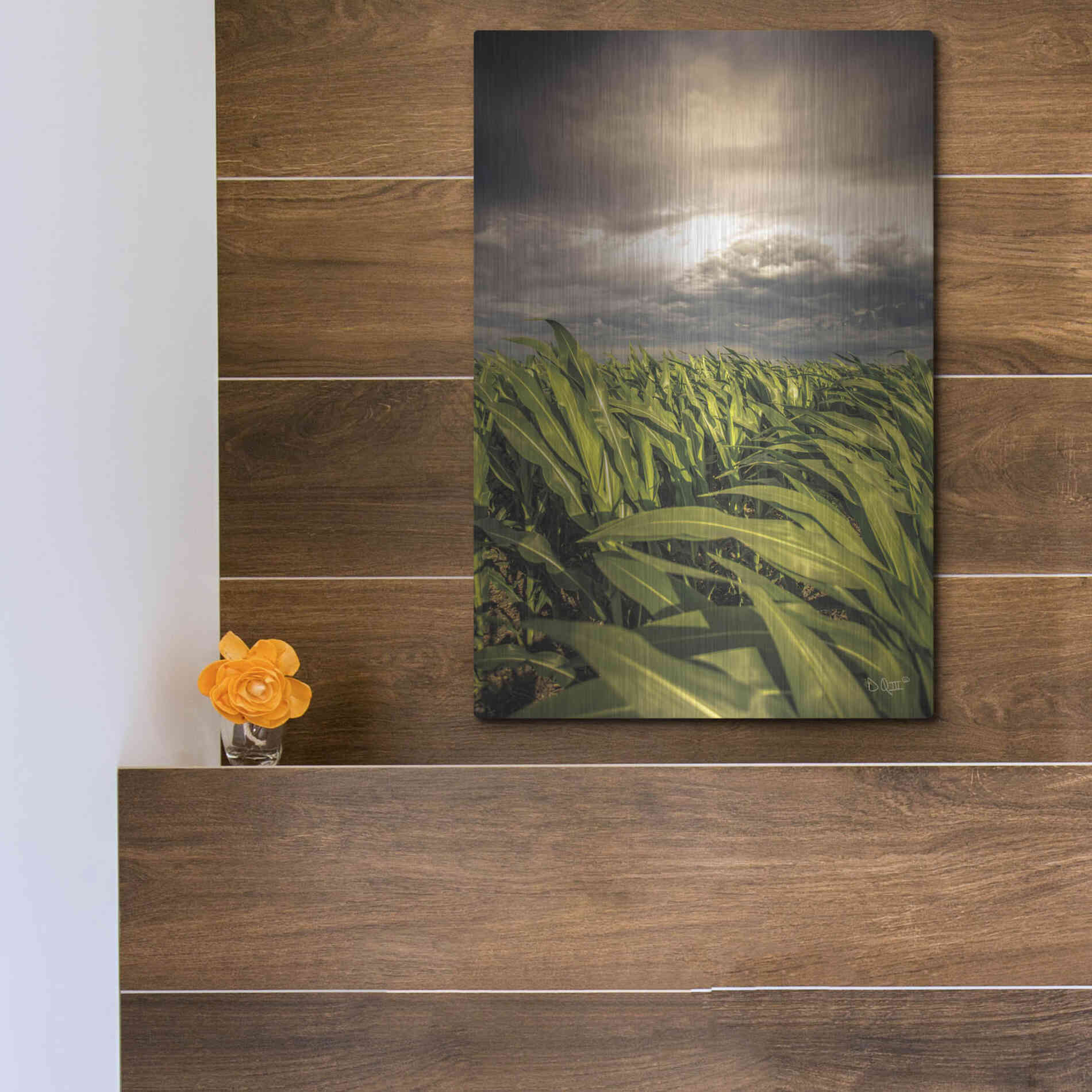 Luxe Metal Art 'Field of Corn' by Donnie Quillen Metal Wall Art,12x16