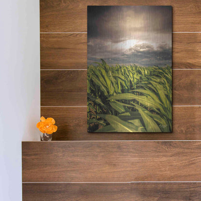 Luxe Metal Art 'Field of Corn' by Donnie Quillen Metal Wall Art,12x16