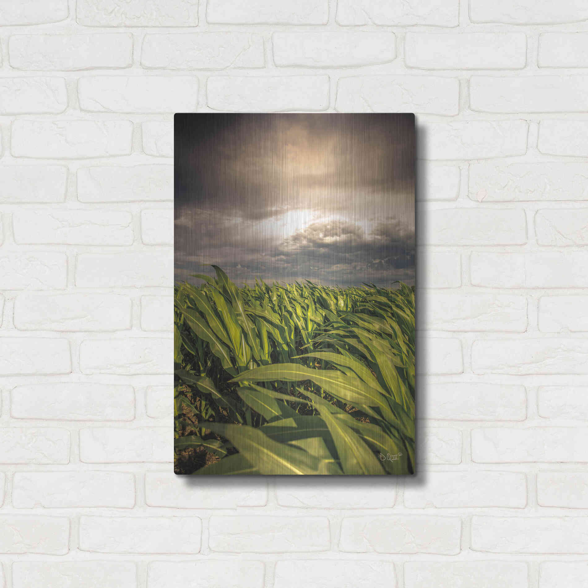 Luxe Metal Art 'Field of Corn' by Donnie Quillen Metal Wall Art,16x24