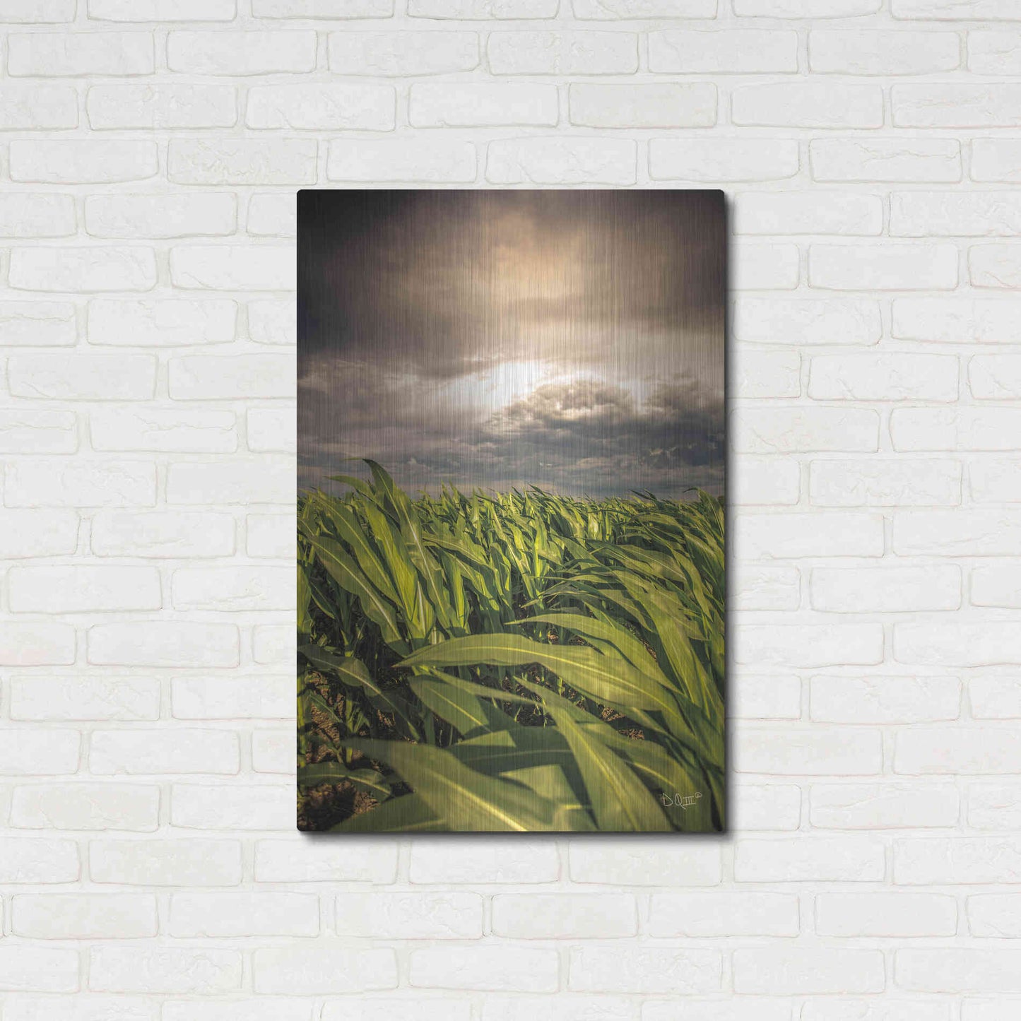 Luxe Metal Art 'Field of Corn' by Donnie Quillen Metal Wall Art,24x36