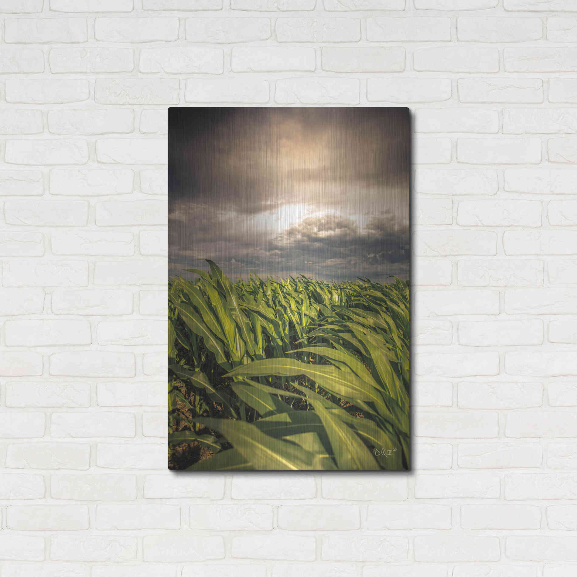 Luxe Metal Art 'Field of Corn' by Donnie Quillen Metal Wall Art,24x36