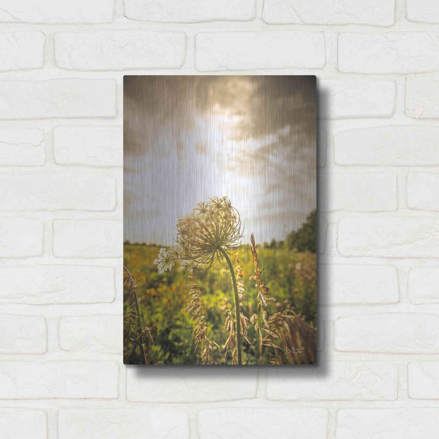 Luxe Metal Art 'Face the Sun I' by Donnie Quillen Metal Wall Art,12x16