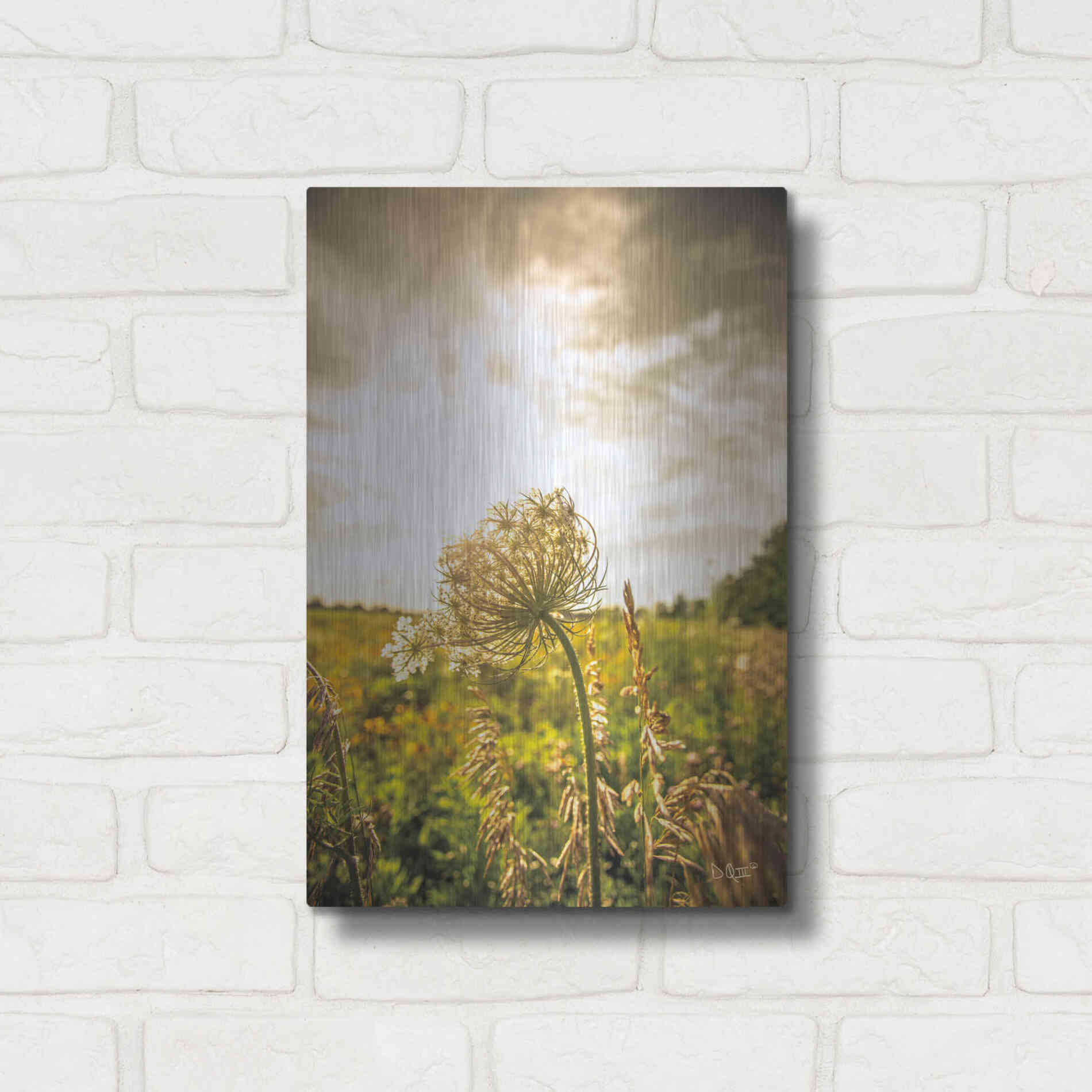 Luxe Metal Art 'Face the Sun I' by Donnie Quillen Metal Wall Art,12x16