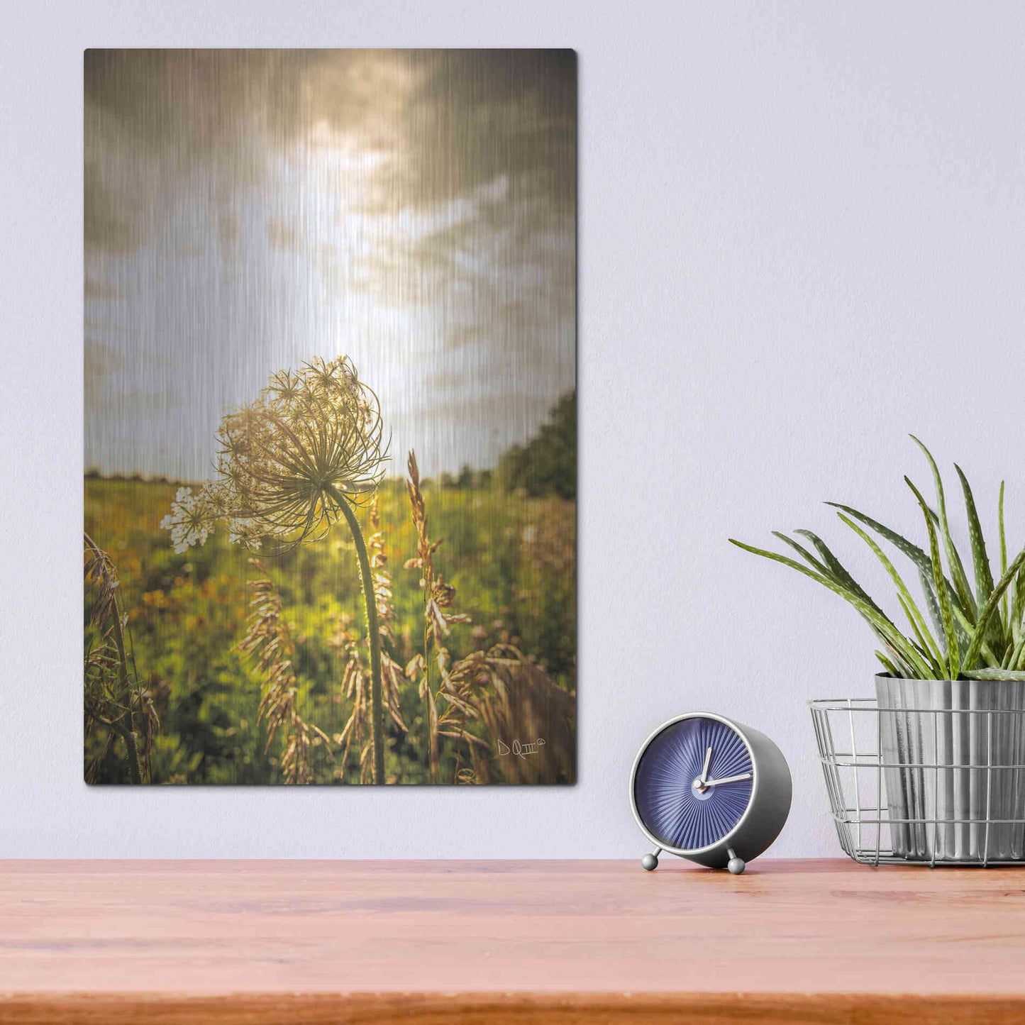 Luxe Metal Art 'Face the Sun I' by Donnie Quillen Metal Wall Art,12x16