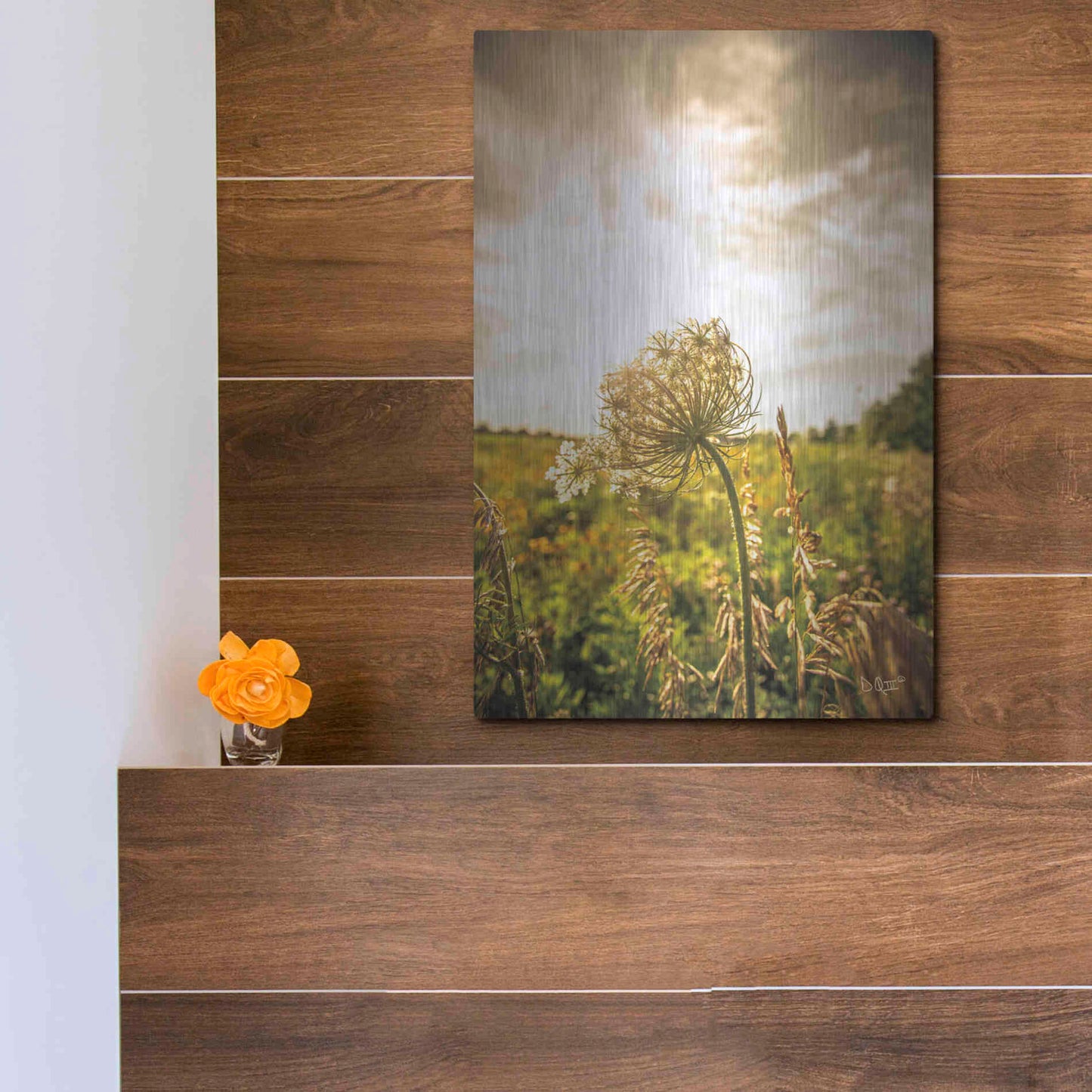 Luxe Metal Art 'Face the Sun I' by Donnie Quillen Metal Wall Art,12x16