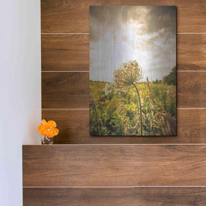 Luxe Metal Art 'Face the Sun I' by Donnie Quillen Metal Wall Art,12x16