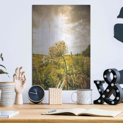 Luxe Metal Art 'Face the Sun I' by Donnie Quillen Metal Wall Art,12x16