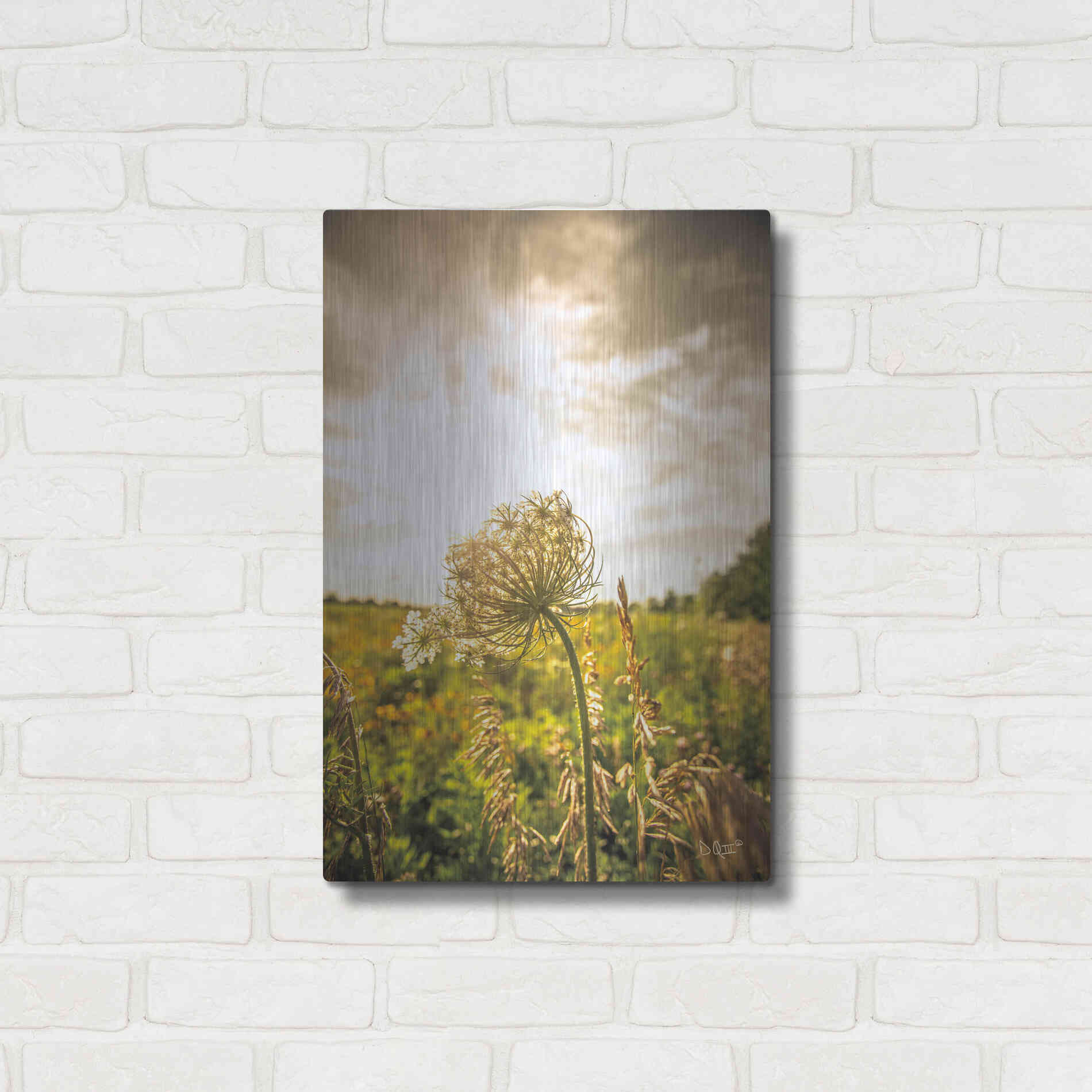 Luxe Metal Art 'Face the Sun I' by Donnie Quillen Metal Wall Art,16x24