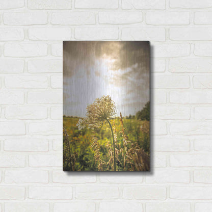 Luxe Metal Art 'Face the Sun I' by Donnie Quillen Metal Wall Art,16x24