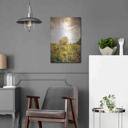 Luxe Metal Art 'Face the Sun I' by Donnie Quillen Metal Wall Art,16x24