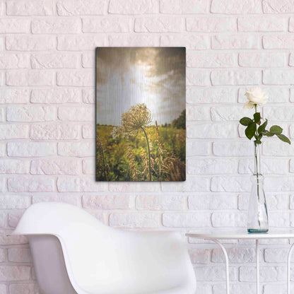 Luxe Metal Art 'Face the Sun I' by Donnie Quillen Metal Wall Art,16x24