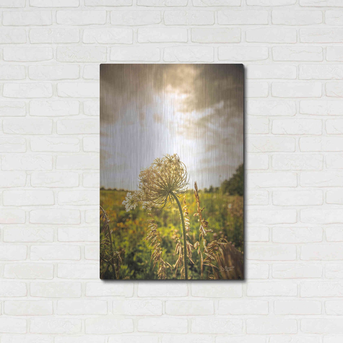 Luxe Metal Art 'Face the Sun I' by Donnie Quillen Metal Wall Art,24x36