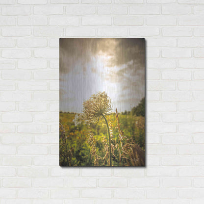 Luxe Metal Art 'Face the Sun I' by Donnie Quillen Metal Wall Art,24x36