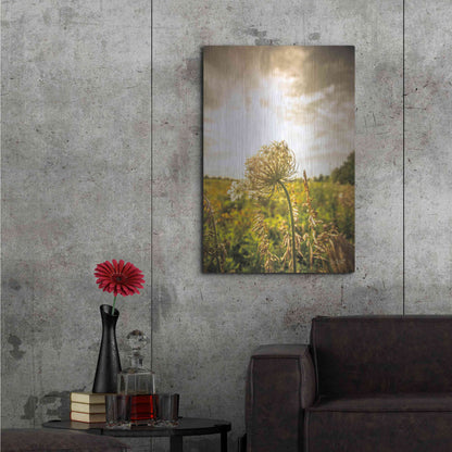 Luxe Metal Art 'Face the Sun I' by Donnie Quillen Metal Wall Art,24x36