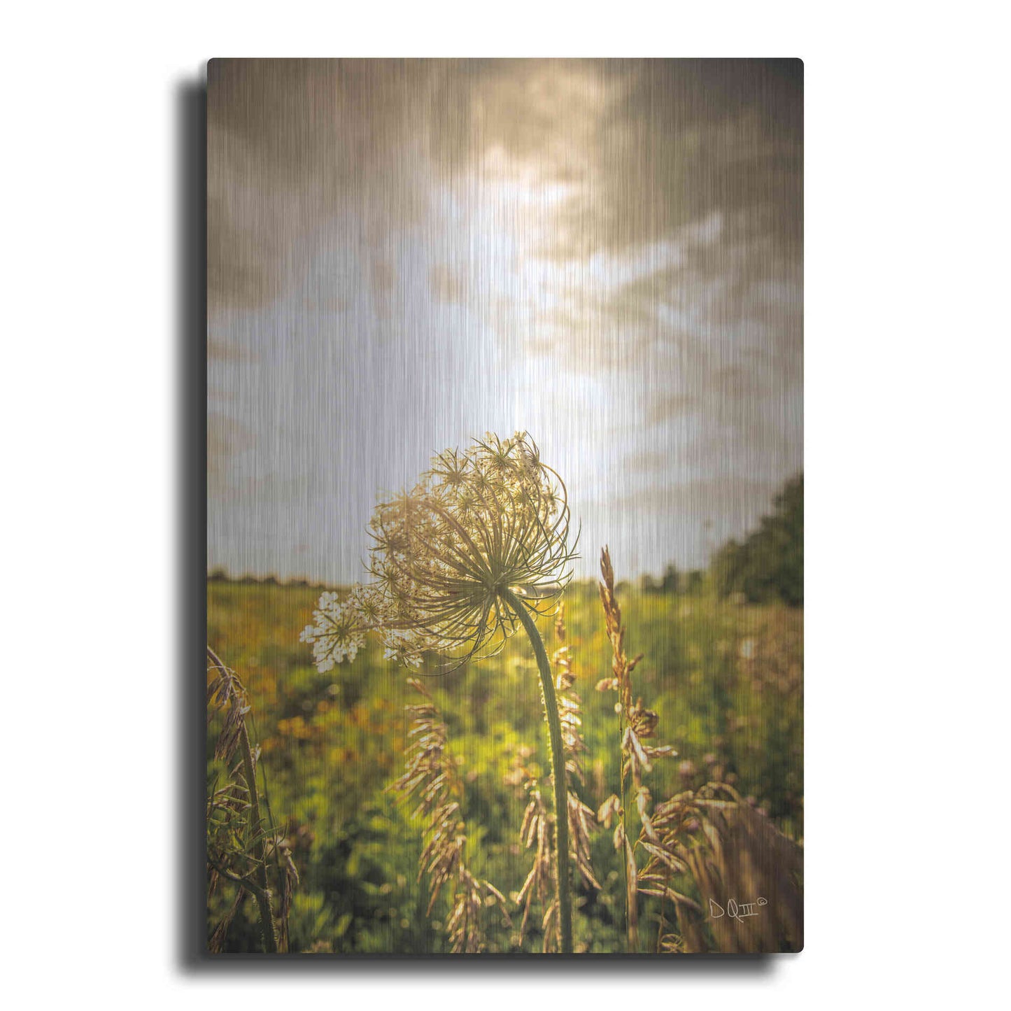 Luxe Metal Art 'Face the Sun I' by Donnie Quillen Metal Wall Art