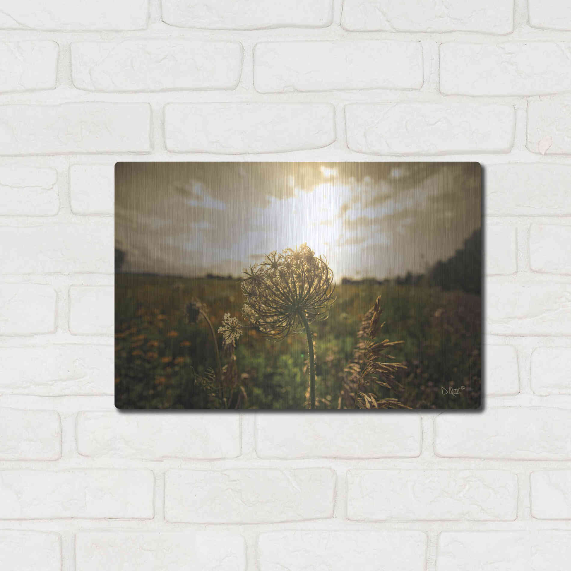 Luxe Metal Art 'Face the Sun II' by Donnie Quillen Metal Wall Art,16x12