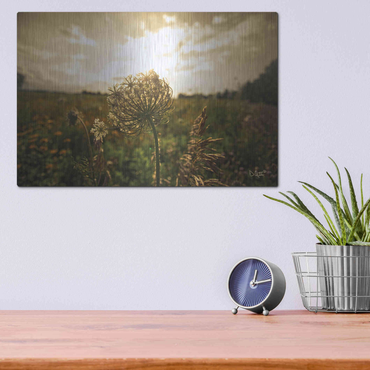 Luxe Metal Art 'Face the Sun II' by Donnie Quillen Metal Wall Art,16x12