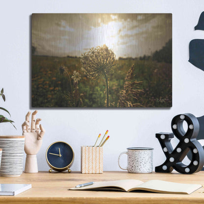 Luxe Metal Art 'Face the Sun II' by Donnie Quillen Metal Wall Art,16x12