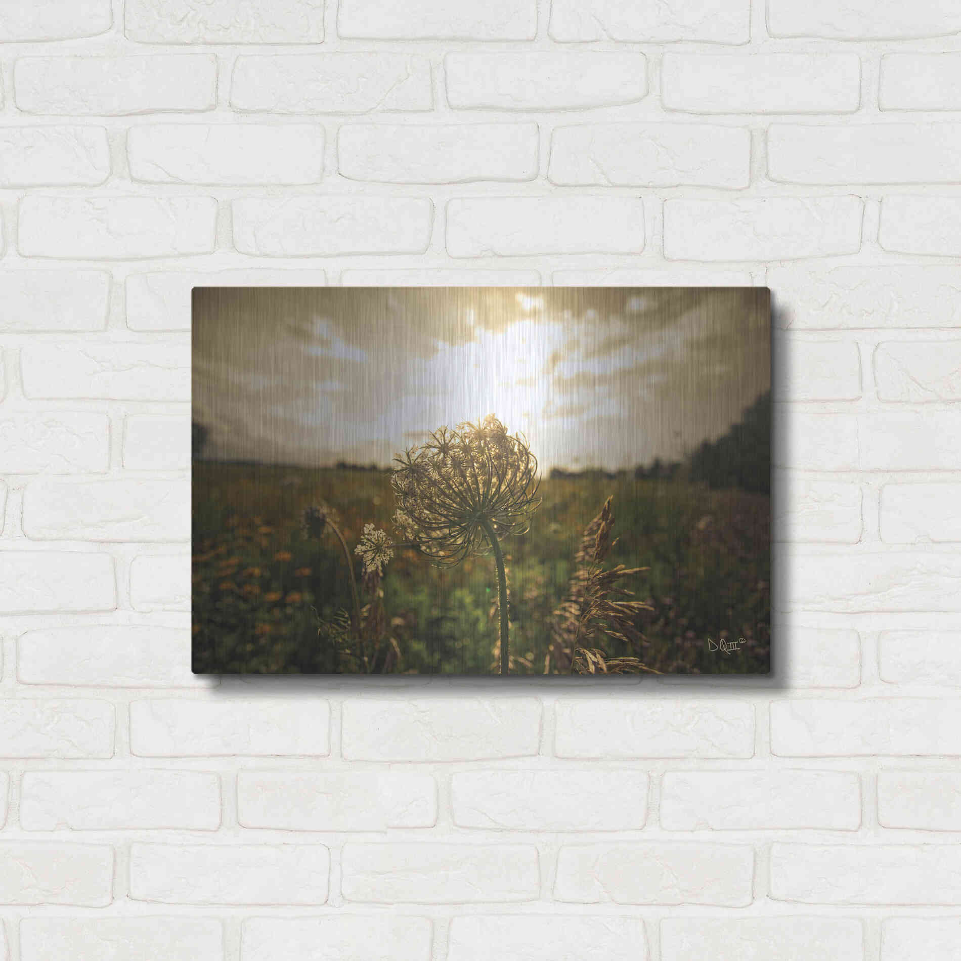 Luxe Metal Art 'Face the Sun II' by Donnie Quillen Metal Wall Art,24x16