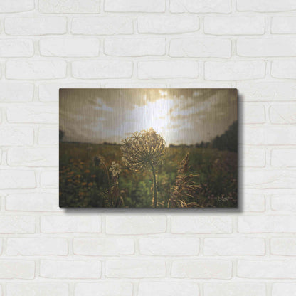 Luxe Metal Art 'Face the Sun II' by Donnie Quillen Metal Wall Art,24x16