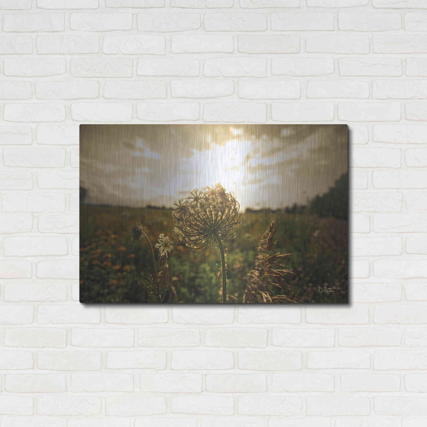 Luxe Metal Art 'Face the Sun II' by Donnie Quillen Metal Wall Art,36x24