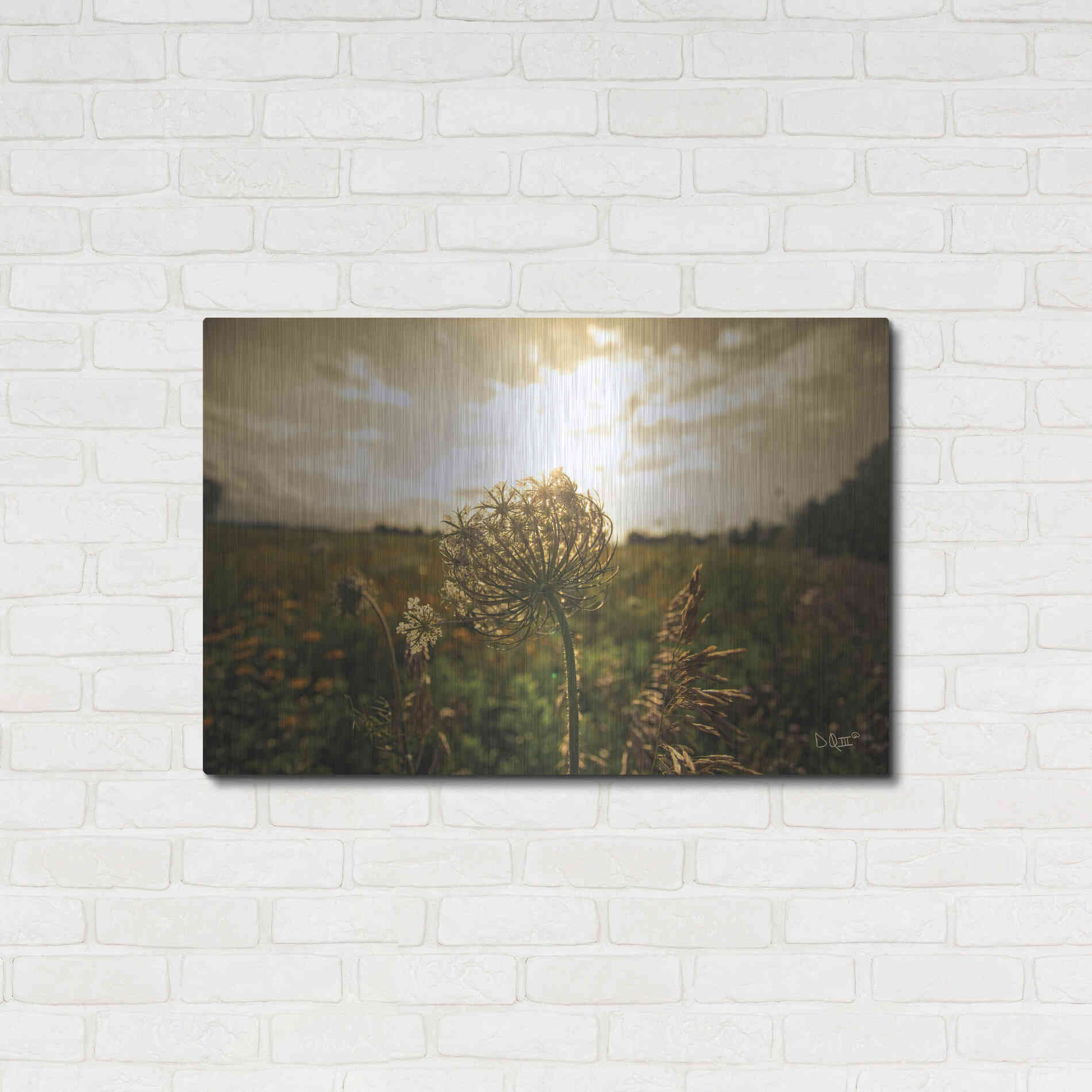 Luxe Metal Art 'Face the Sun II' by Donnie Quillen Metal Wall Art,36x24