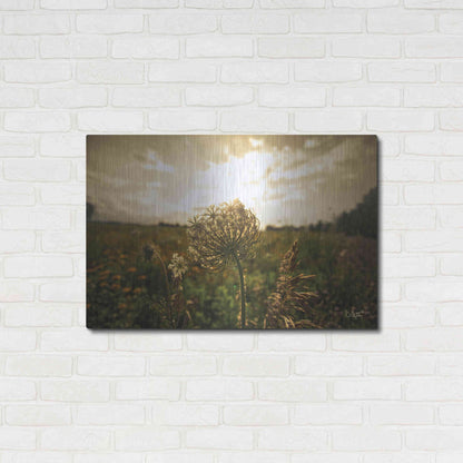 Luxe Metal Art 'Face the Sun II' by Donnie Quillen Metal Wall Art,36x24