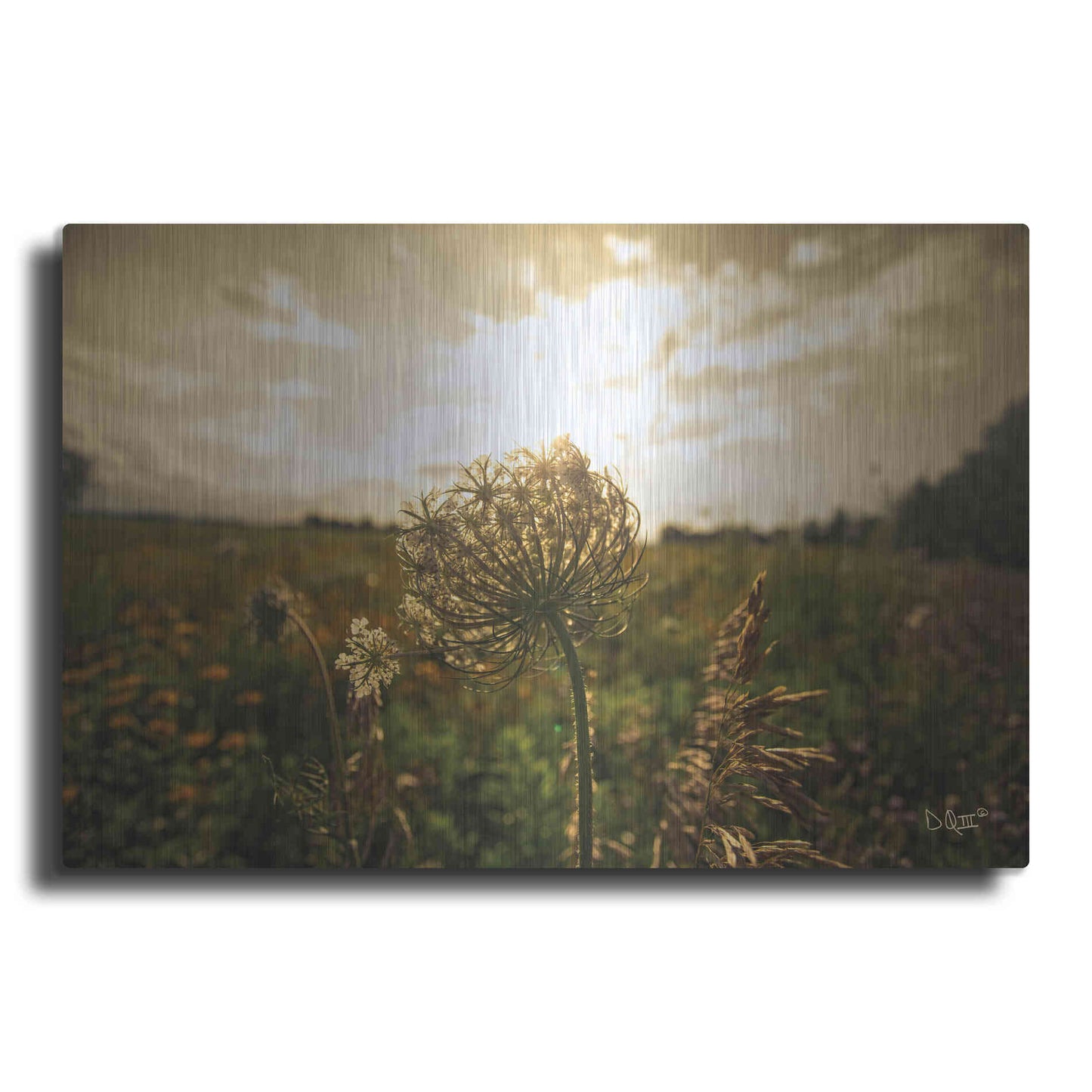 Luxe Metal Art 'Face the Sun II' by Donnie Quillen Metal Wall Art