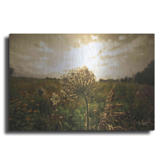 Luxe Metal Art 'Face the Sun II' by Donnie Quillen Metal Wall Art