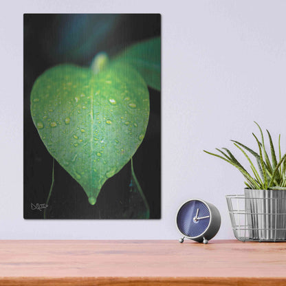 Luxe Metal Art 'Green Leaf' by Donnie Quillen Metal Wall Art,12x16