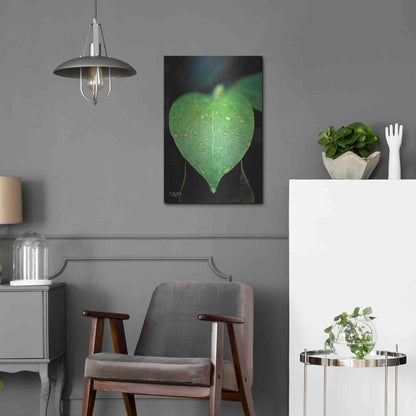 Luxe Metal Art 'Green Leaf' by Donnie Quillen Metal Wall Art,16x24