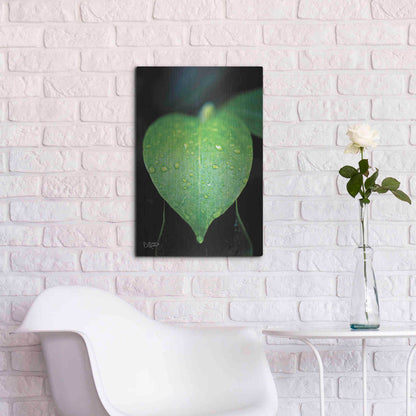 Luxe Metal Art 'Green Leaf' by Donnie Quillen Metal Wall Art,16x24