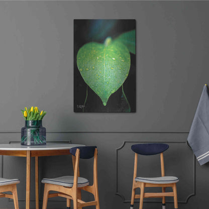 Luxe Metal Art 'Green Leaf' by Donnie Quillen Metal Wall Art,24x36