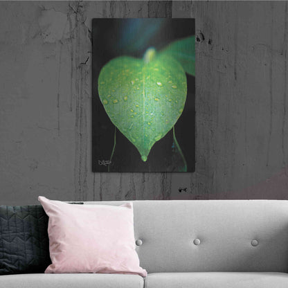 Luxe Metal Art 'Green Leaf' by Donnie Quillen Metal Wall Art,24x36