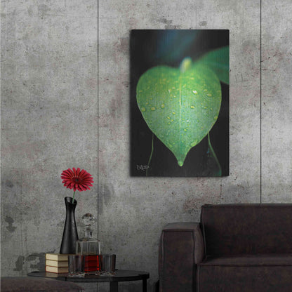 Luxe Metal Art 'Green Leaf' by Donnie Quillen Metal Wall Art,24x36