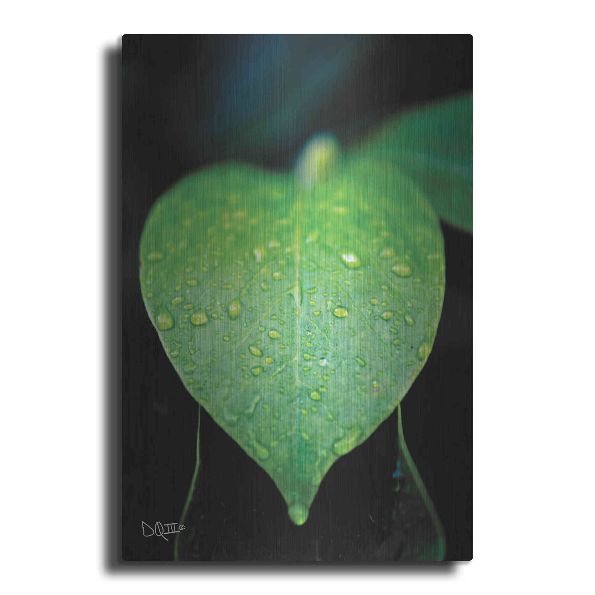 Luxe Metal Art 'Green Leaf' by Donnie Quillen Metal Wall Art