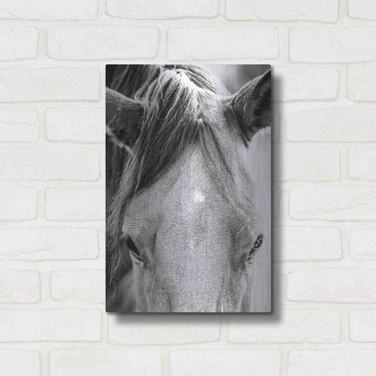Luxe Metal Art 'Trophy Winner I' by Donnie Quillen Metal Wall Art,12x16