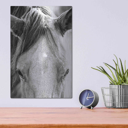 Luxe Metal Art 'Trophy Winner I' by Donnie Quillen Metal Wall Art,12x16