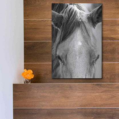 Luxe Metal Art 'Trophy Winner I' by Donnie Quillen Metal Wall Art,12x16