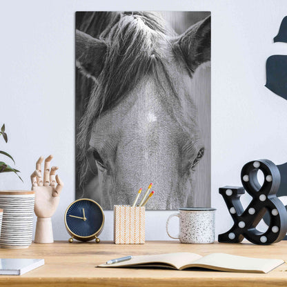 Luxe Metal Art 'Trophy Winner I' by Donnie Quillen Metal Wall Art,12x16