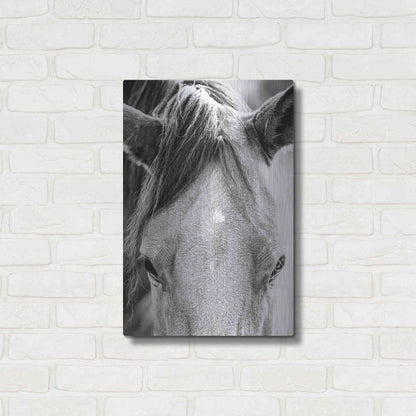 Luxe Metal Art 'Trophy Winner I' by Donnie Quillen Metal Wall Art,16x24