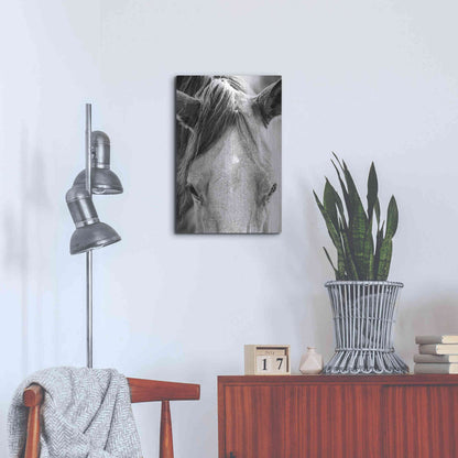 Luxe Metal Art 'Trophy Winner I' by Donnie Quillen Metal Wall Art,16x24