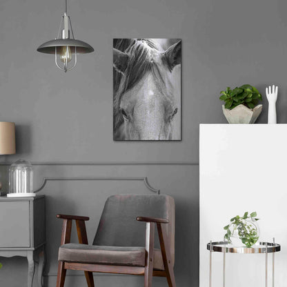 Luxe Metal Art 'Trophy Winner I' by Donnie Quillen Metal Wall Art,16x24