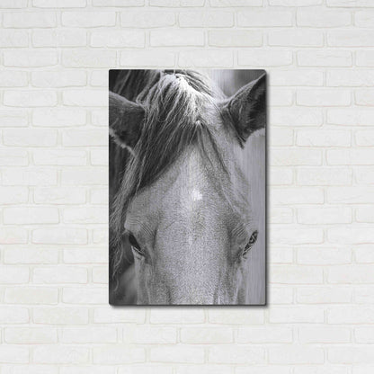 Luxe Metal Art 'Trophy Winner I' by Donnie Quillen Metal Wall Art,24x36