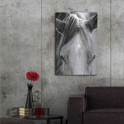 Luxe Metal Art 'Trophy Winner I' by Donnie Quillen Metal Wall Art,24x36