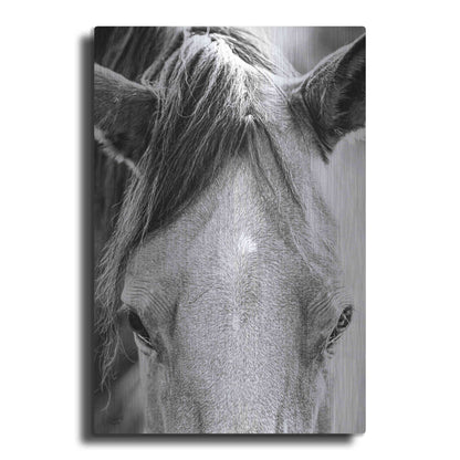 Luxe Metal Art 'Trophy Winner I' by Donnie Quillen Metal Wall Art