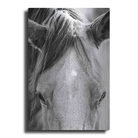 Luxe Metal Art 'Trophy Winner I' by Donnie Quillen Metal Wall Art