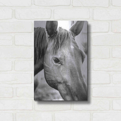 Luxe Metal Art 'Trophy Winner II' by Donnie Quillen Metal Wall Art,12x16