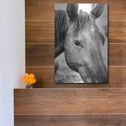 Luxe Metal Art 'Trophy Winner II' by Donnie Quillen Metal Wall Art,12x16
